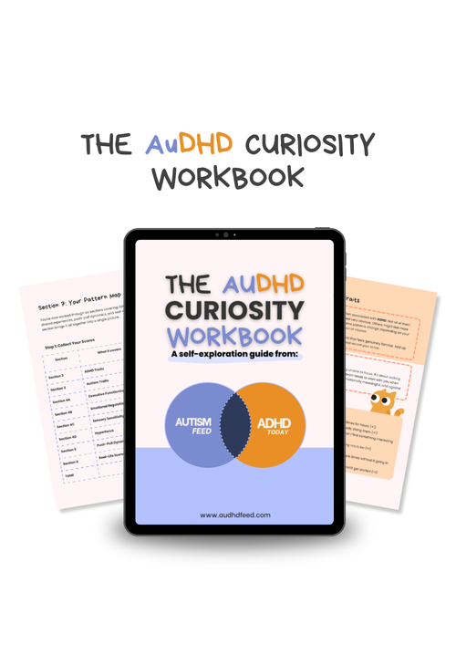 THE AUDHD CURIOSITY WORKBOOK